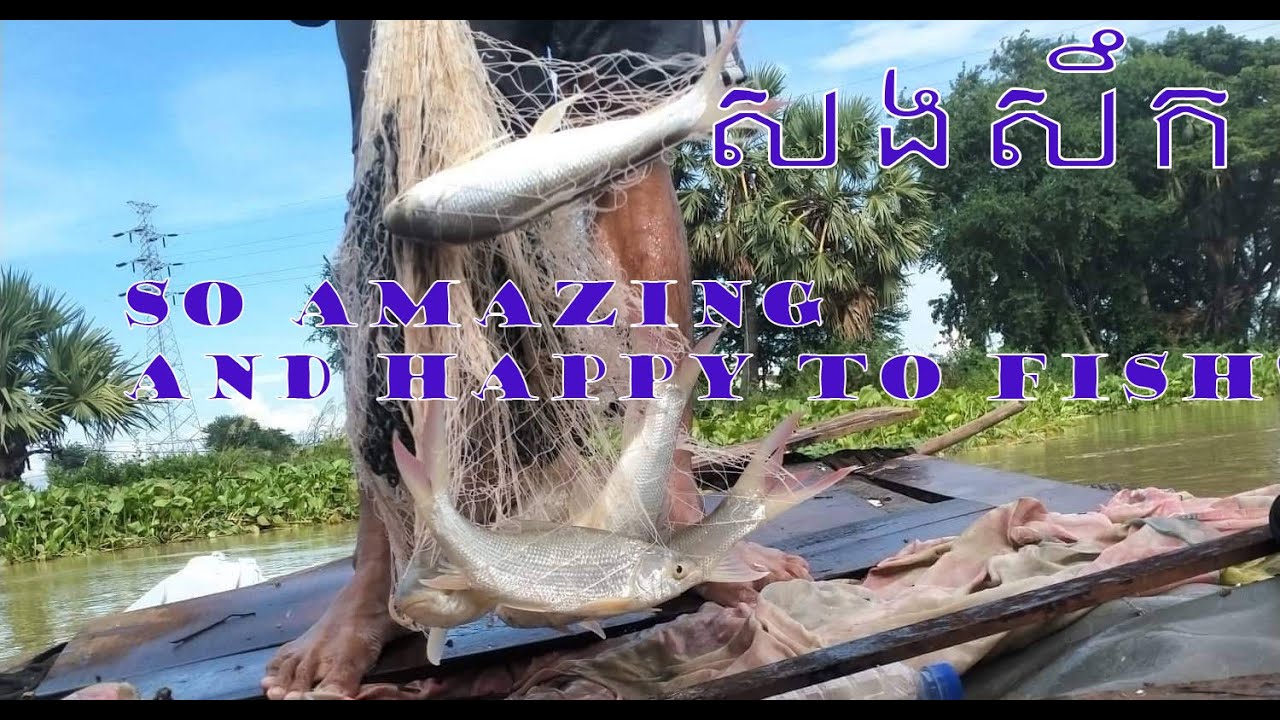 ត្រីត្រូវ  សាកសំណាញ់ថ្មី      សងសឹកម្សិលម៉ិញ wow so amazing today CAST NET FISHING #266