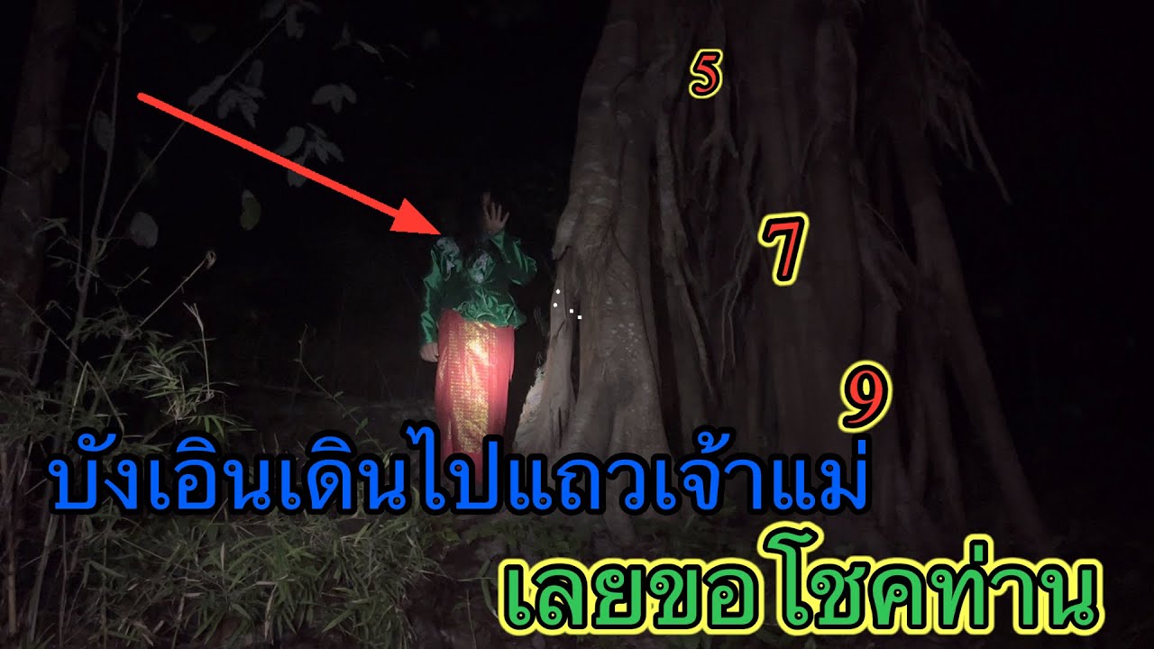 บังเอิญเดินไปแถวเขตในป่าที่เจ้าแม่อยู่ก็เลยขอโชคท่านมา 579 🙏🙏🙏￼