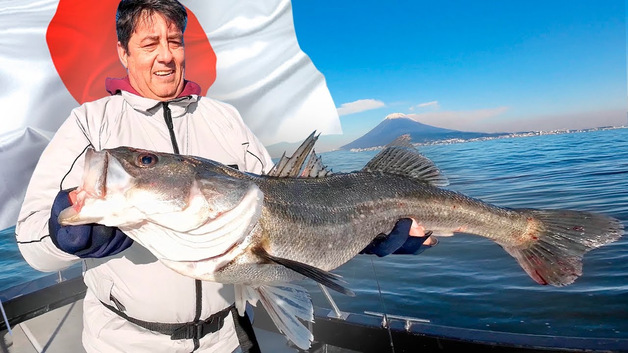 ¡PESCANDO GRANDES LUBINAS! (Yokohama, Japan)