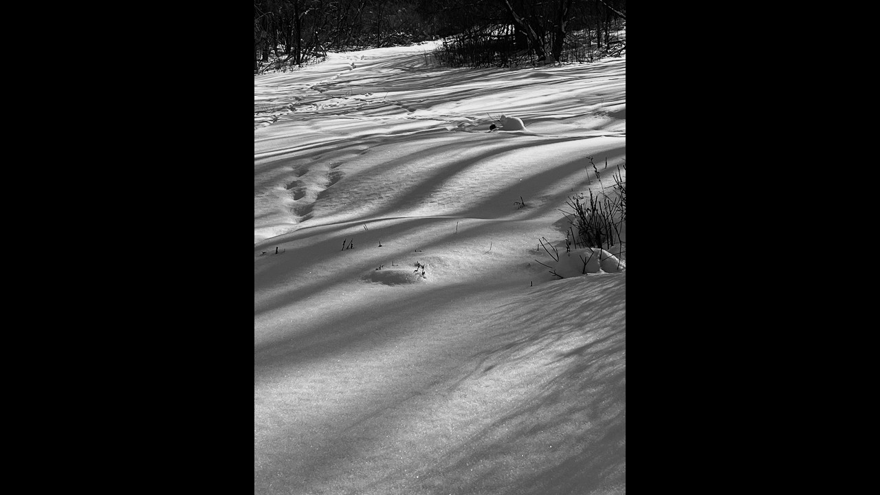 Debussy: Footsteps in the Snow