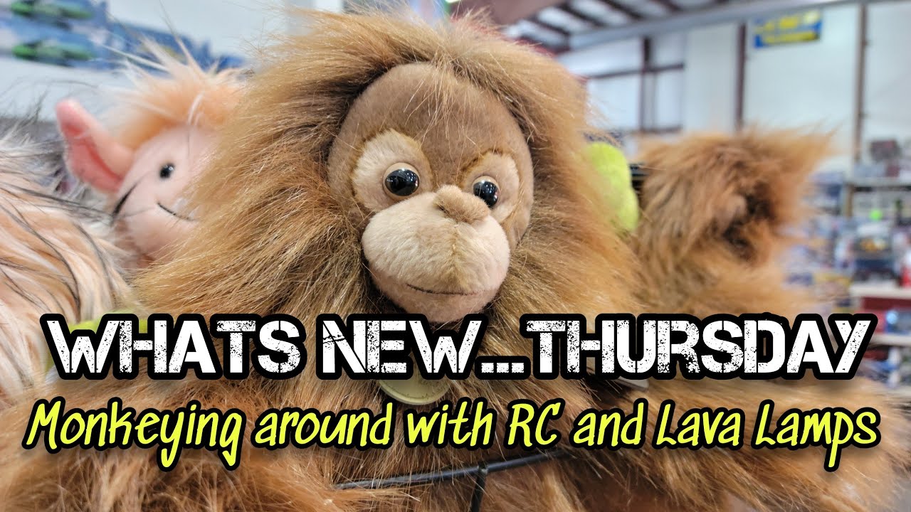 What's New - 10/06/22 - HobbyTown HobbyPlex - Story Time Edition - RC Drifting/Stuffies/RPG's/More