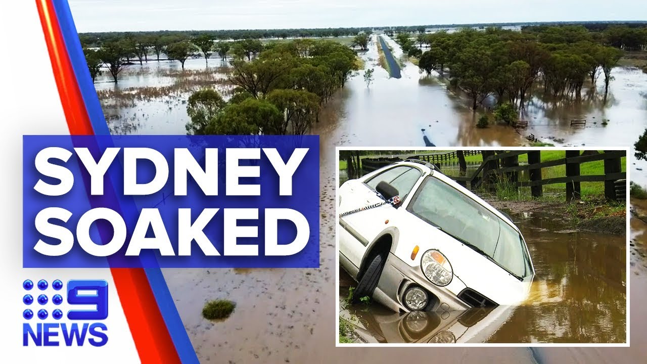 Sydney lashed with torrential rain, floods, winds | Nine News Australia