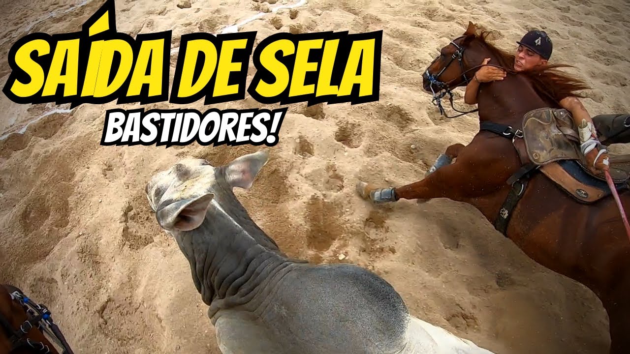 DISP. ASPIRANTE PARQUE EVÂNIO HIGINO. Parte 01