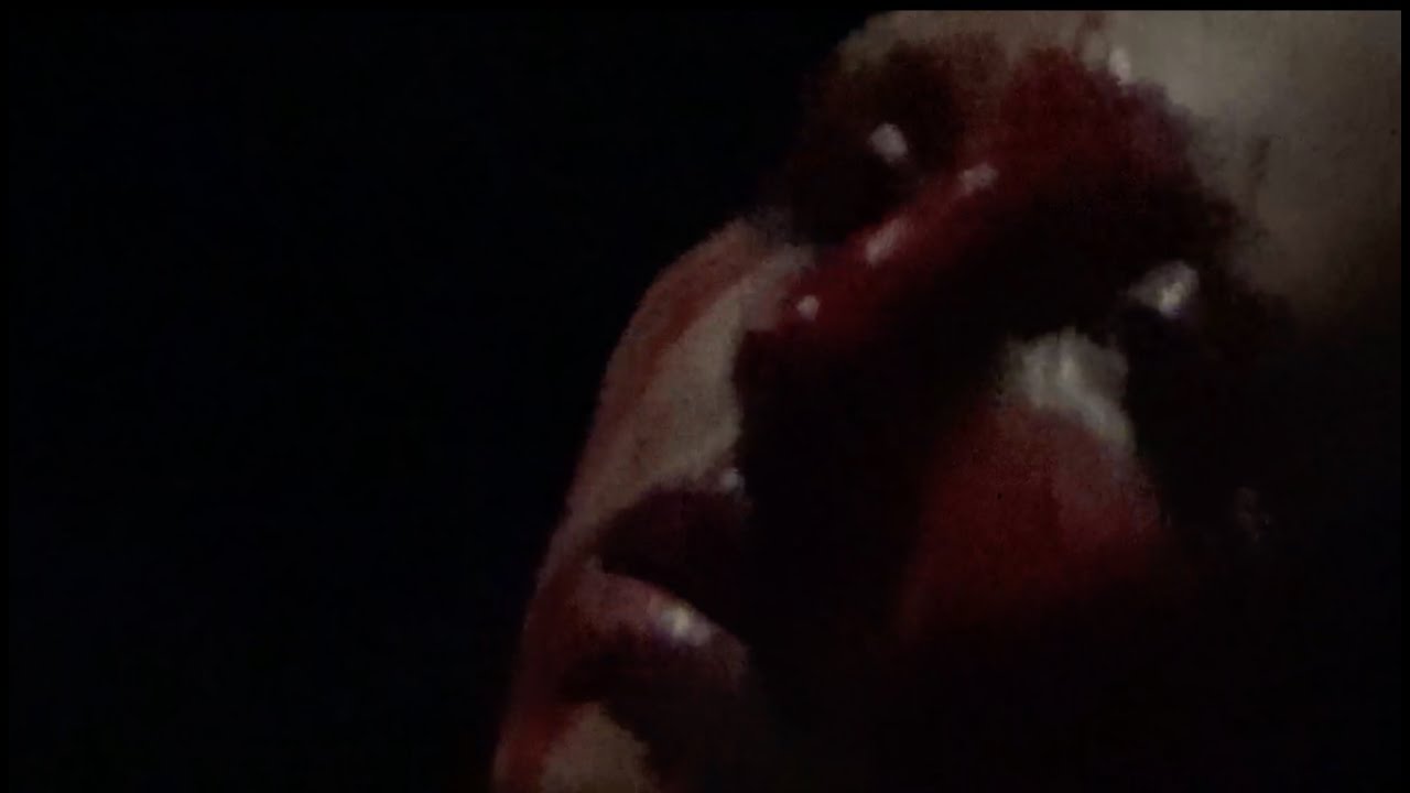 Rooster — Ssstupid / The End of the World