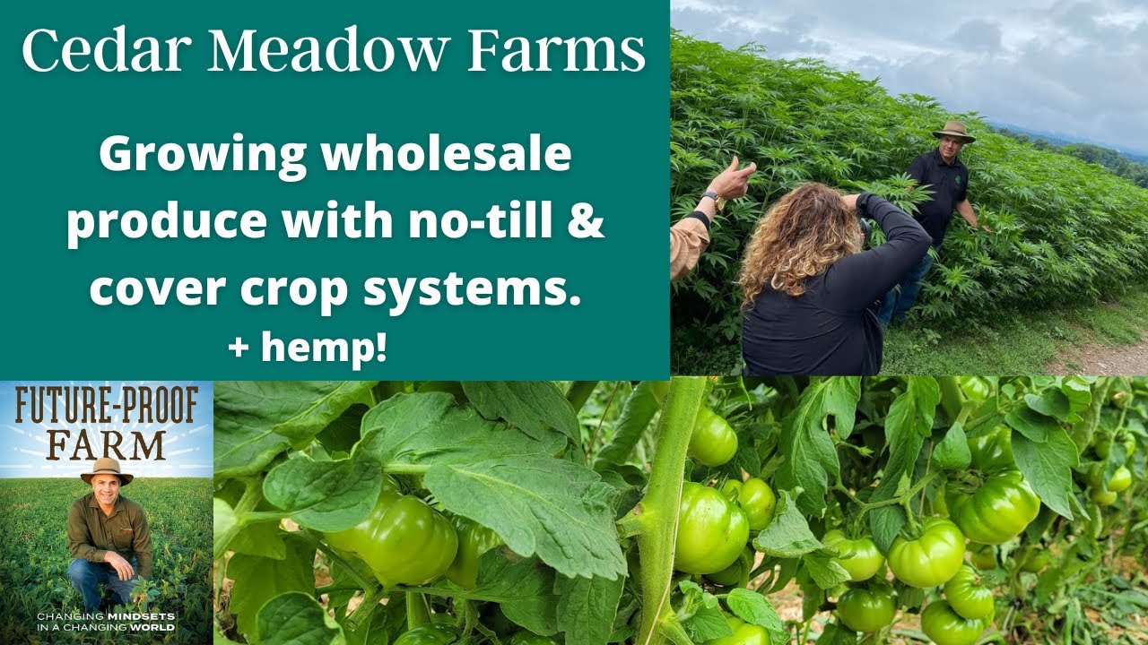Steve Groff : Increasing Topsoil with the No-Till Revolution at Cedar Meadow Farm