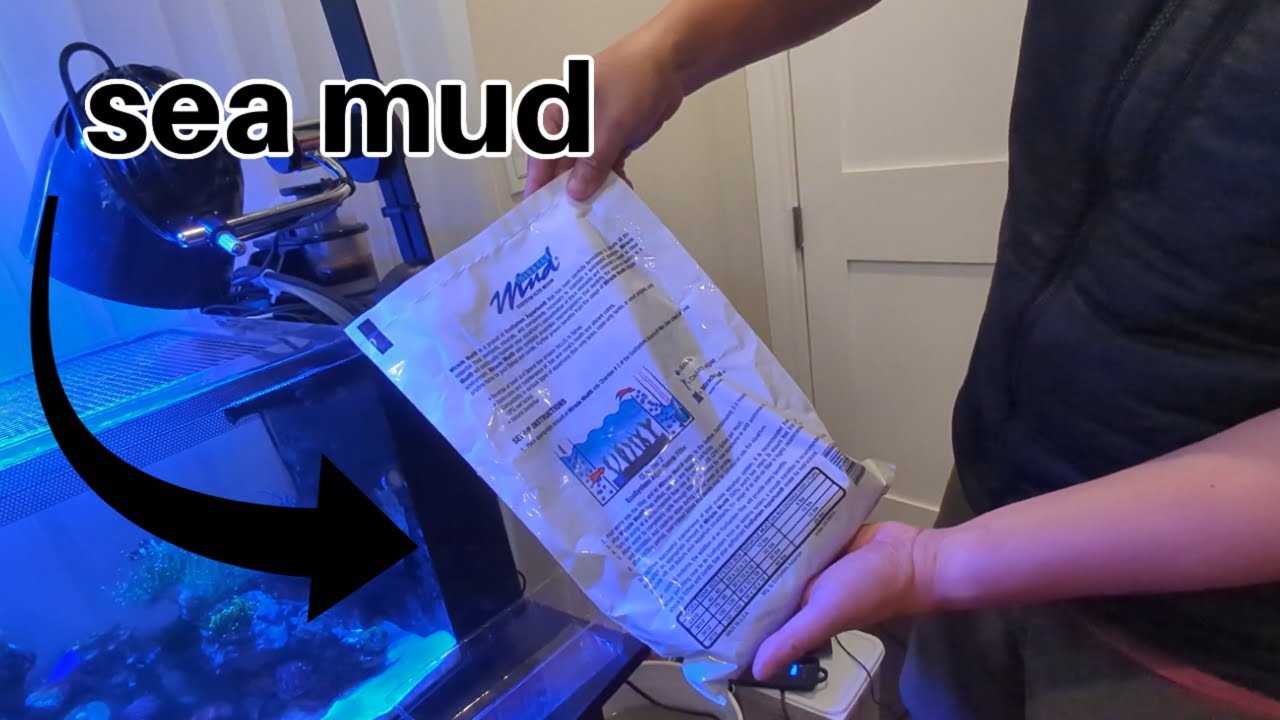 Adding sea Miracle Mud and microbacter bacteria to our DIY nano reef tank refugium