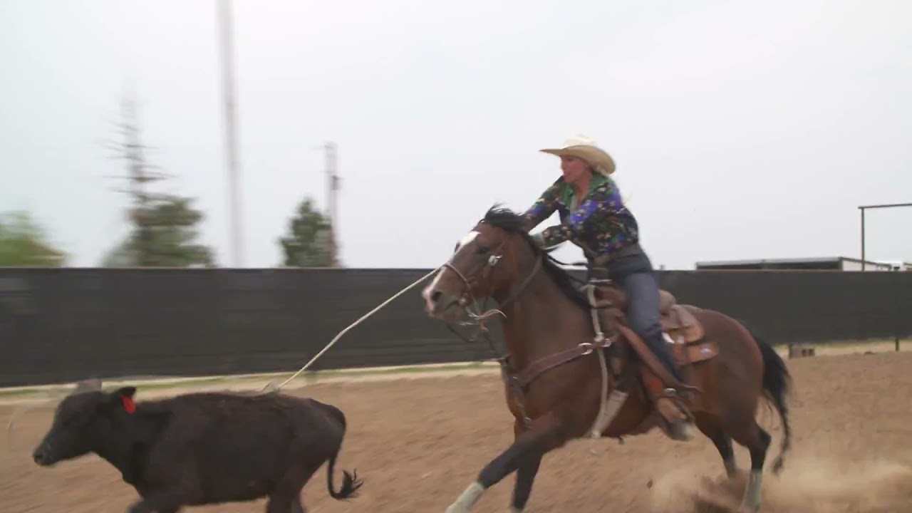 BreakawayRoping.com: Linsay Sumpter Practice Session
