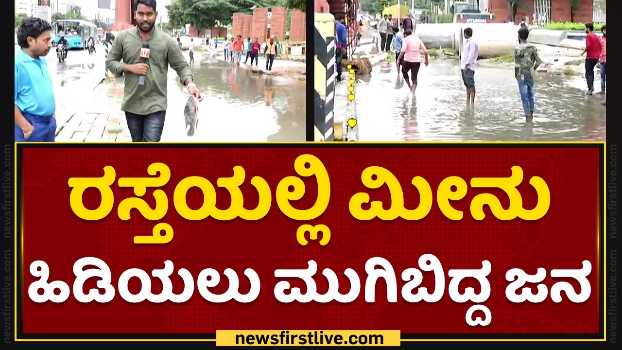 Rain Effect : ರಸ್ತೆಯಲ್ಲಿ ಮೀನು ಹಿಡಿಯಲು ಮುಗಿಬಿದ್ದ ಜನ | Bengaluru | Rainfall | NewsFirst Kannada