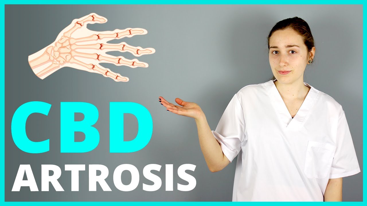 CBD para ARTROSIS 🤚 &iquest;C&oacute;mo puede AYUDAR con el 🔥 DOLOR?