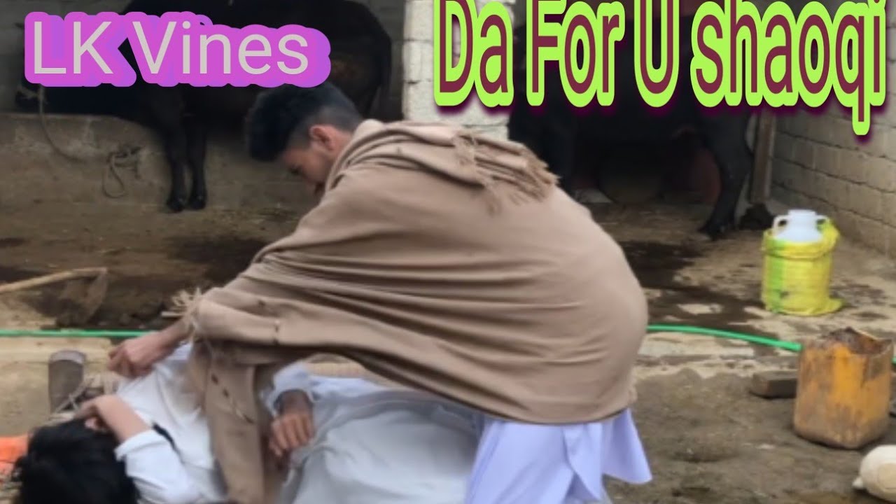 Ta ma shawtal la legaly e aw ta for u ke garze || funny video by lali kalay Vines || pushto funny