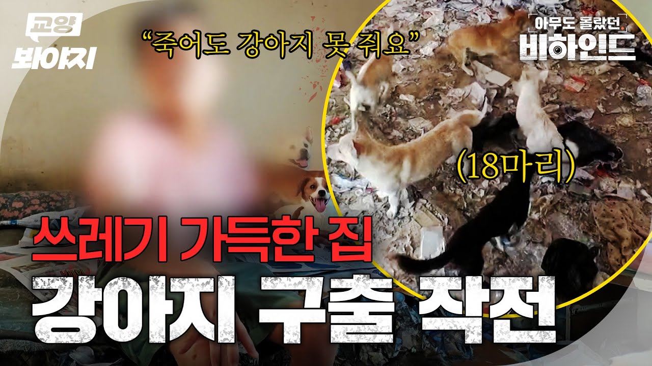 ＂강아지가 하늘에서 떨어져서...＂ 쓰레기 집에서 사는 할머니와 18마리 강아지ㅣ아무도 몰랐던, 비하인드｜JTBC 250902 방송