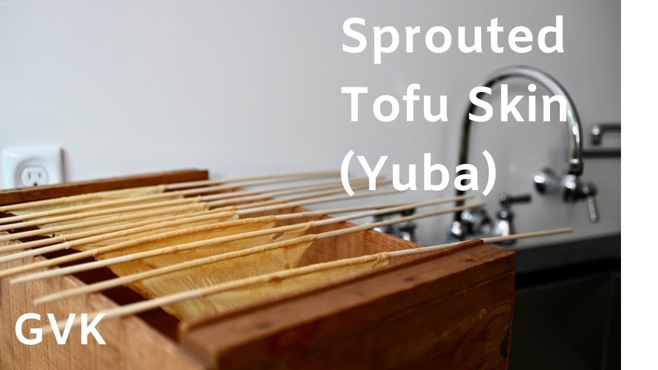 How to make Tofu Skin or Yuba (from sprouted soy milk)