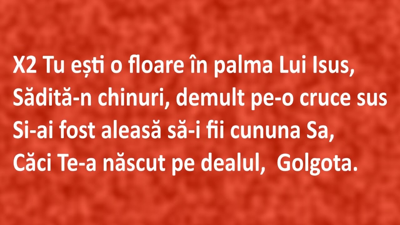 Tu nu ești orișicine venit întâmplător - Negativ