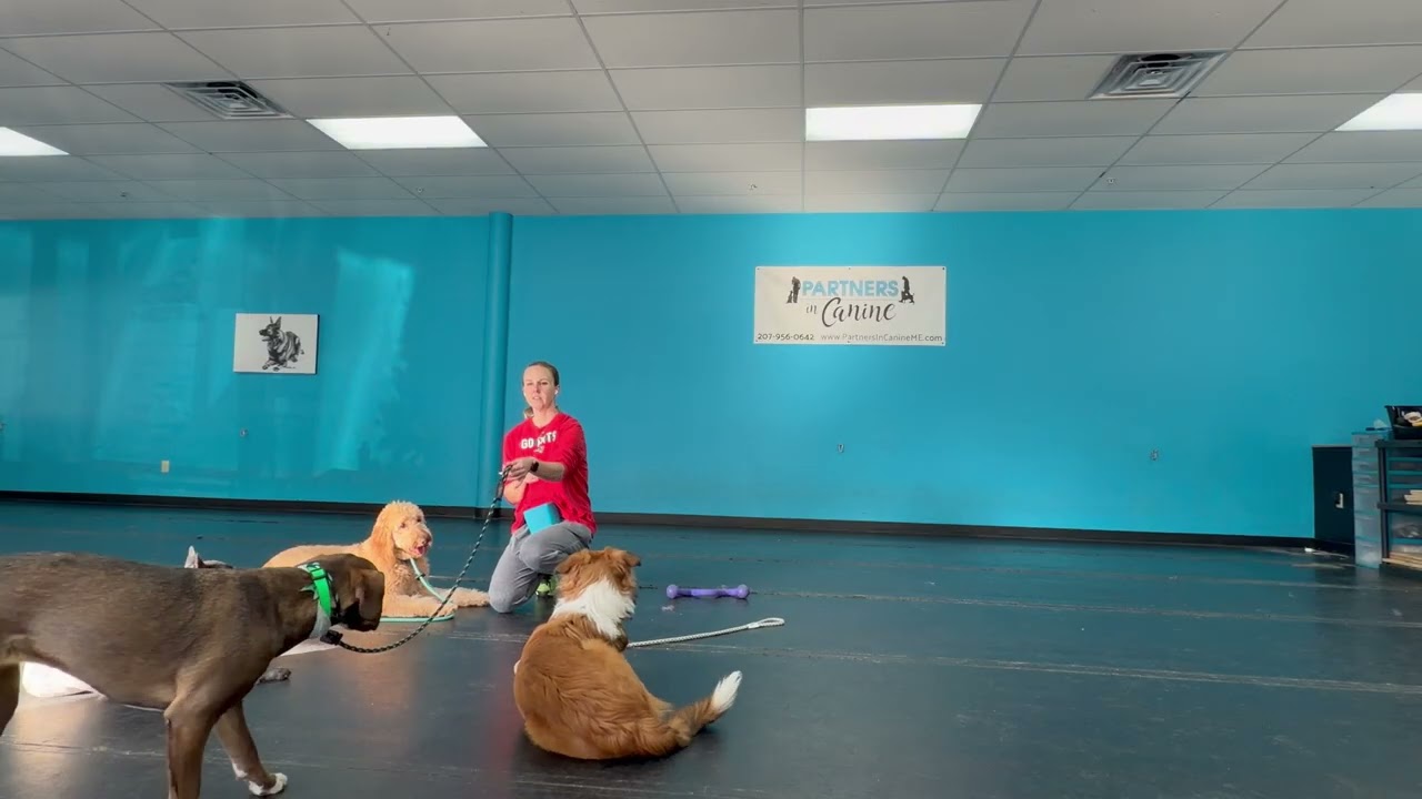 Clip from Enrichment Training today