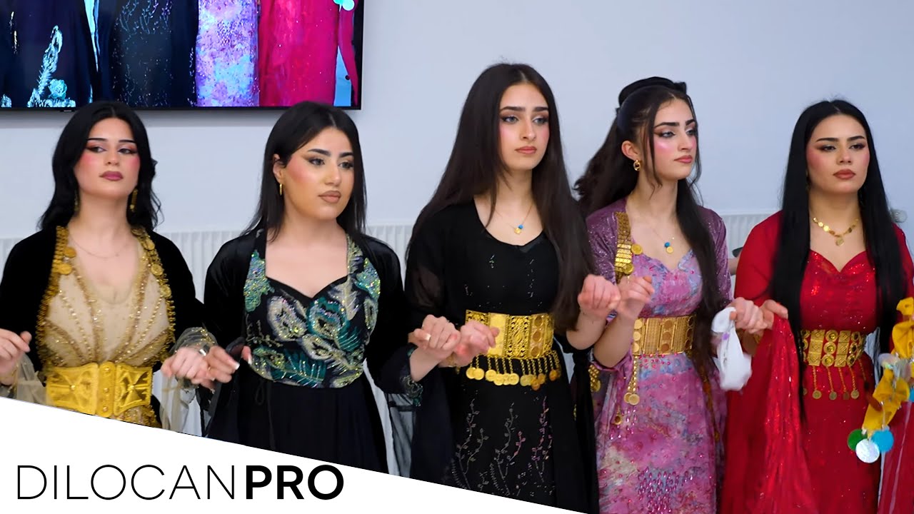 Imad Selim /Bayar & Sidra / Part06 / #DilocanPro #Hochzeit #Wedding #Kurdish #Dilocan