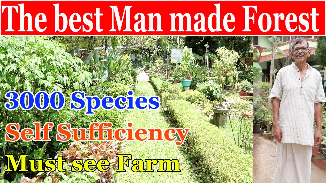 AP Chandrasekhar Man made forest| Best Natural Farm| Farming Guide for Young farmers
