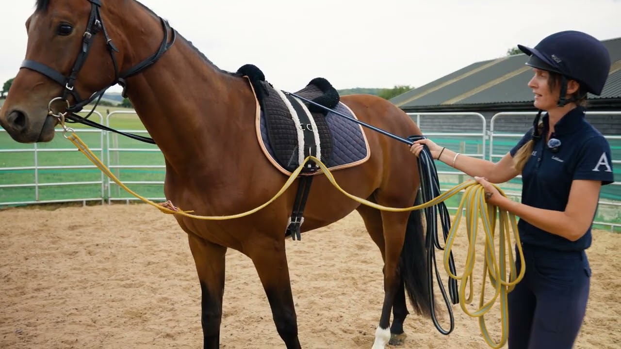 The Anmore Way | Episode 6: Introducing the Saddle & Early Desensitisation