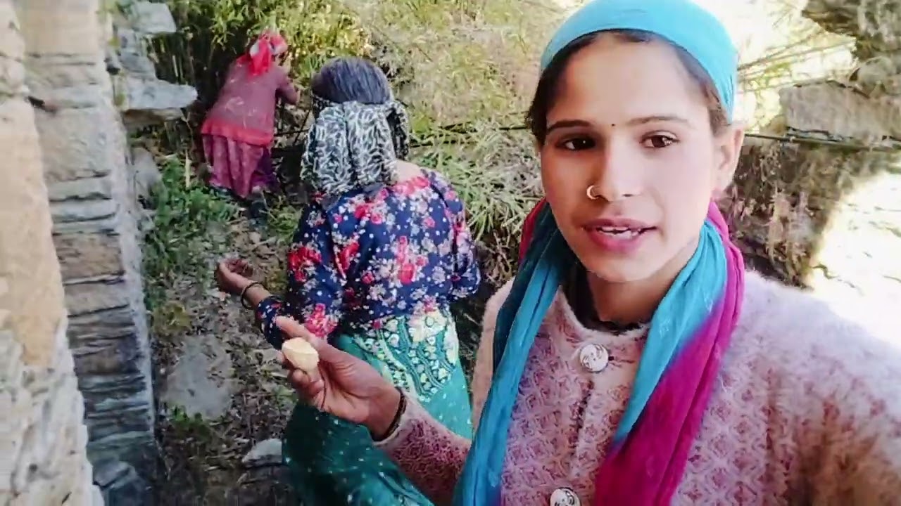 Pahadi lifestyle 🤙 बहुत समय के बाद गये आज छानी में !