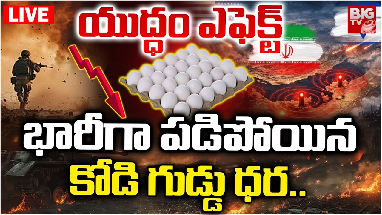 Egg Prices Crash in Telugu States Over Israel Iran War యుద్ధం ఎఫెక్ట్ భారీగా పడిపోయిన కోడి గుడ్డు ధర