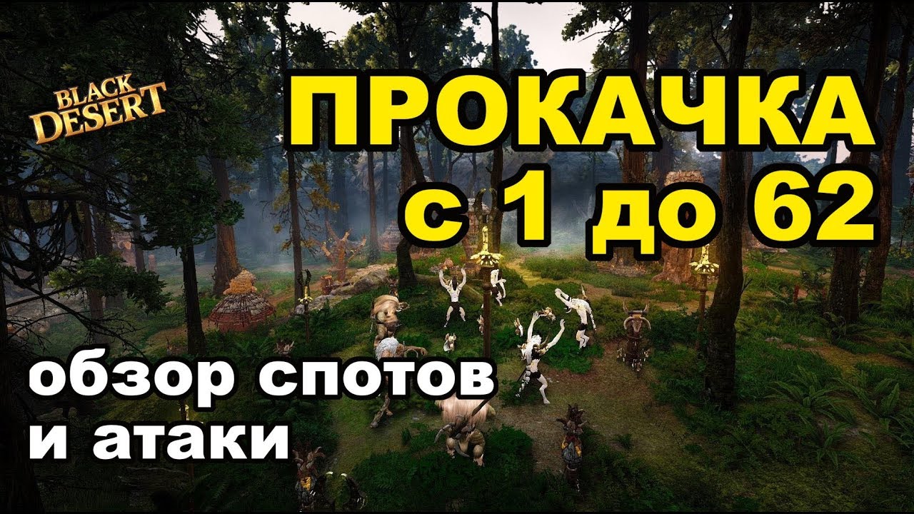 Black Desert (MMORPG - ИГРЫ) - 🏋 Прокачка в BDO с 1 по 62 уровень в 2018 + фарм