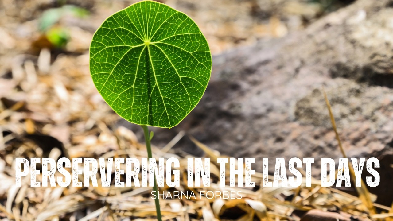Bezer Worship: Persevering in the Last Days | March 1, 2026