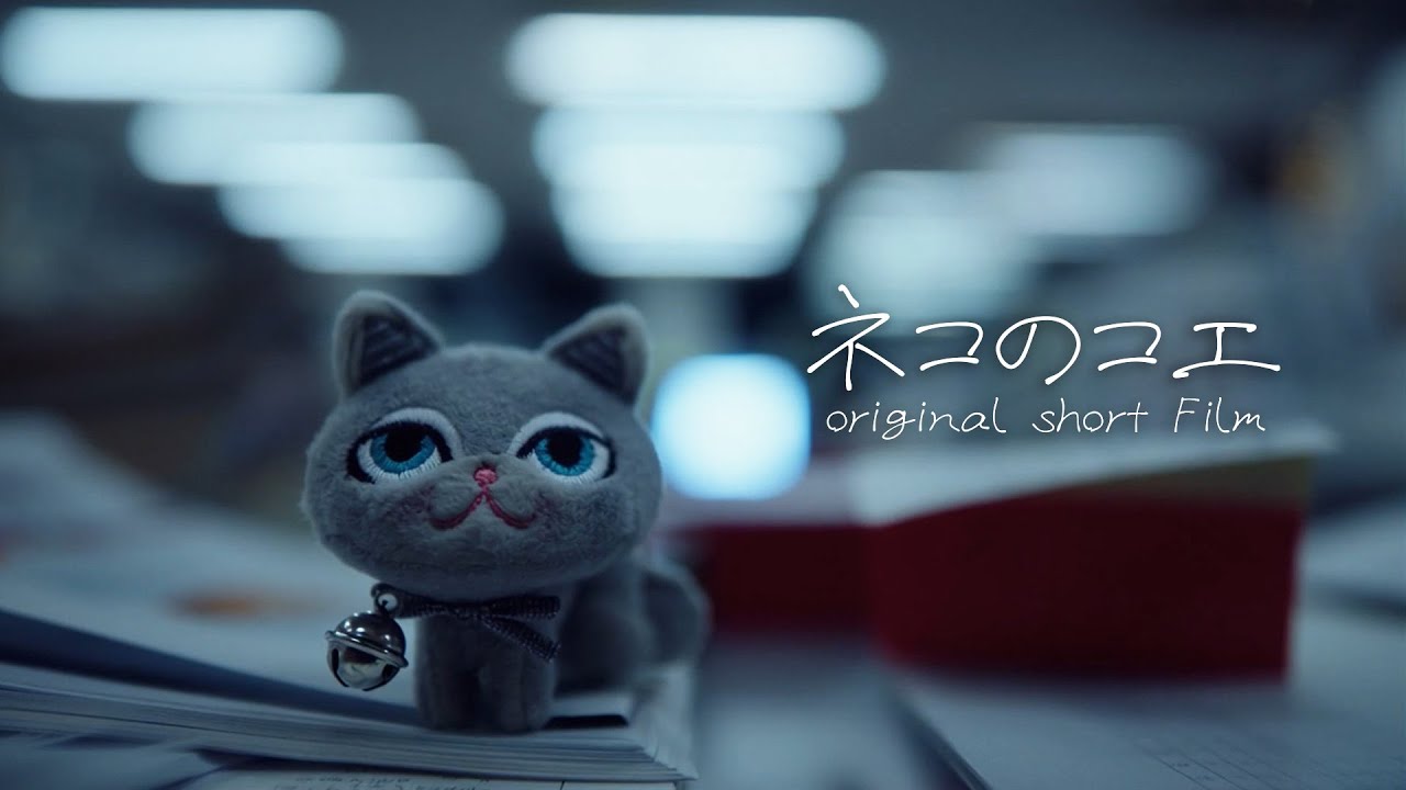 猫の声が響く町で取材した５日間の取材メモ#ショートドラマ #ショートフィルム