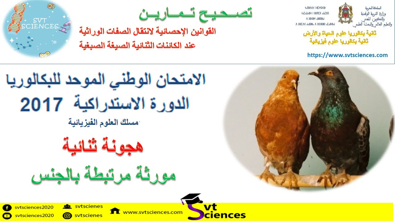 تصحيح تمارين: هجونة ثنائية مورثة مرتبطة بالجنس وطني 2017