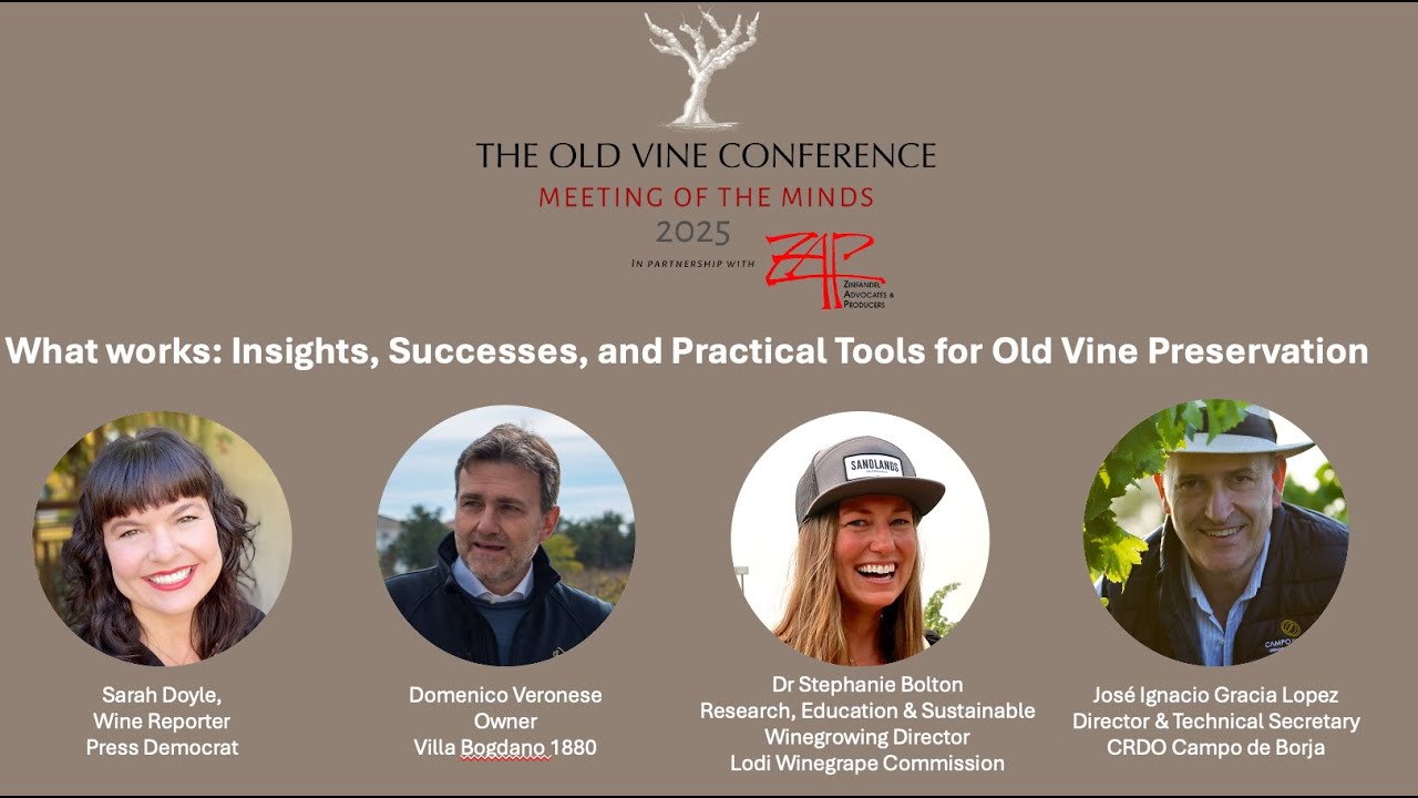 What works: Insights, Successes, and Practical Tools for Old Vine Preservation