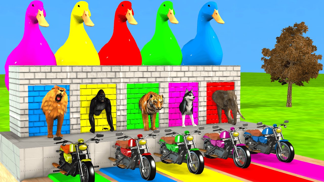 Long Slide Game With Cow Elephant Gorilla Hippopotamus Tiger 3d Animal Game Funny 3d Animals