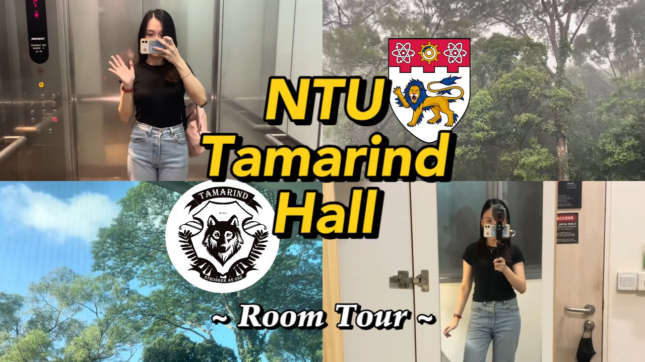 [ENG SUB] NTU Tamarind Hall 🇸🇬 | 和大家分享我住了四年的宿舍| Single Room 单人房 | Room Tour | 蔡欣怡 Fion Chai