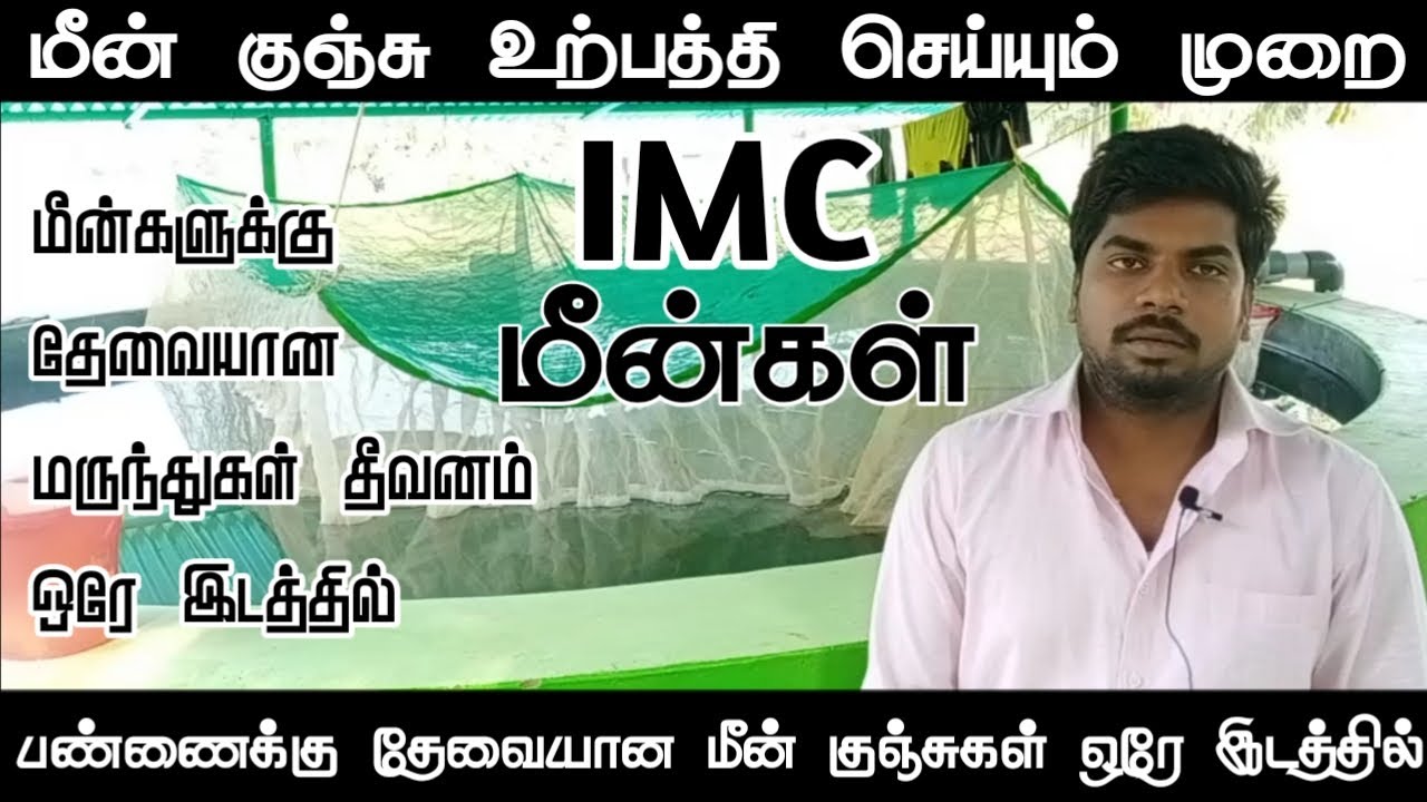 மீன் குஞ்சு உற்பத்தி செய்யும் முறை| IMC FISH FRAM|Alone explorer