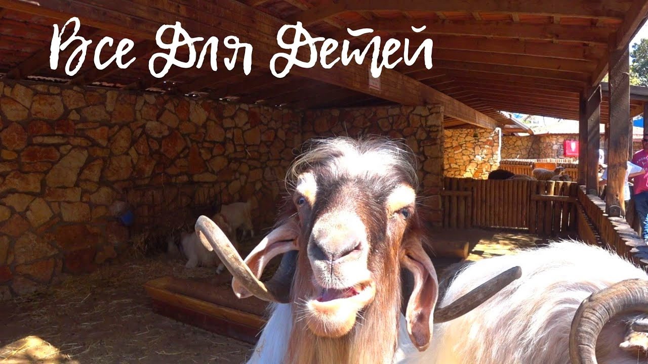Хай Парк Кирьят Моцкин. Обзор Большого ЗООПАРКА Hay Park Kiryat Motzkin.