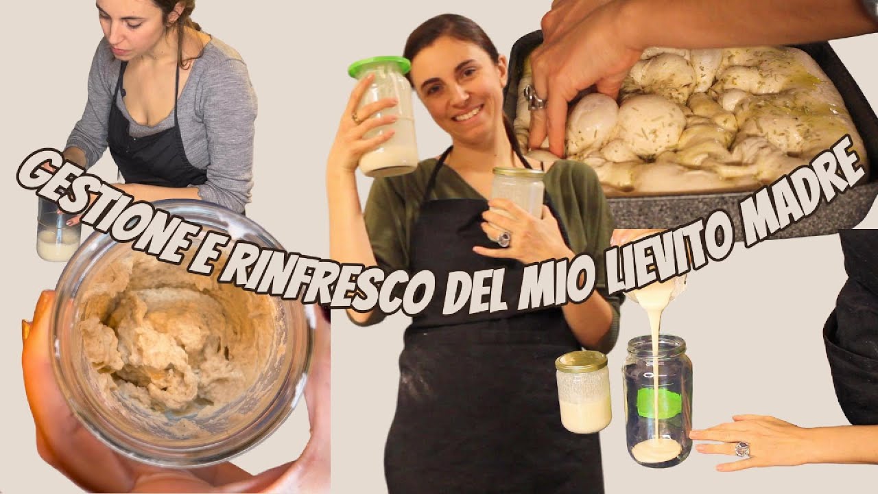 LI.CO.LI.: come gestisco il mio LIEVITO MADRE
