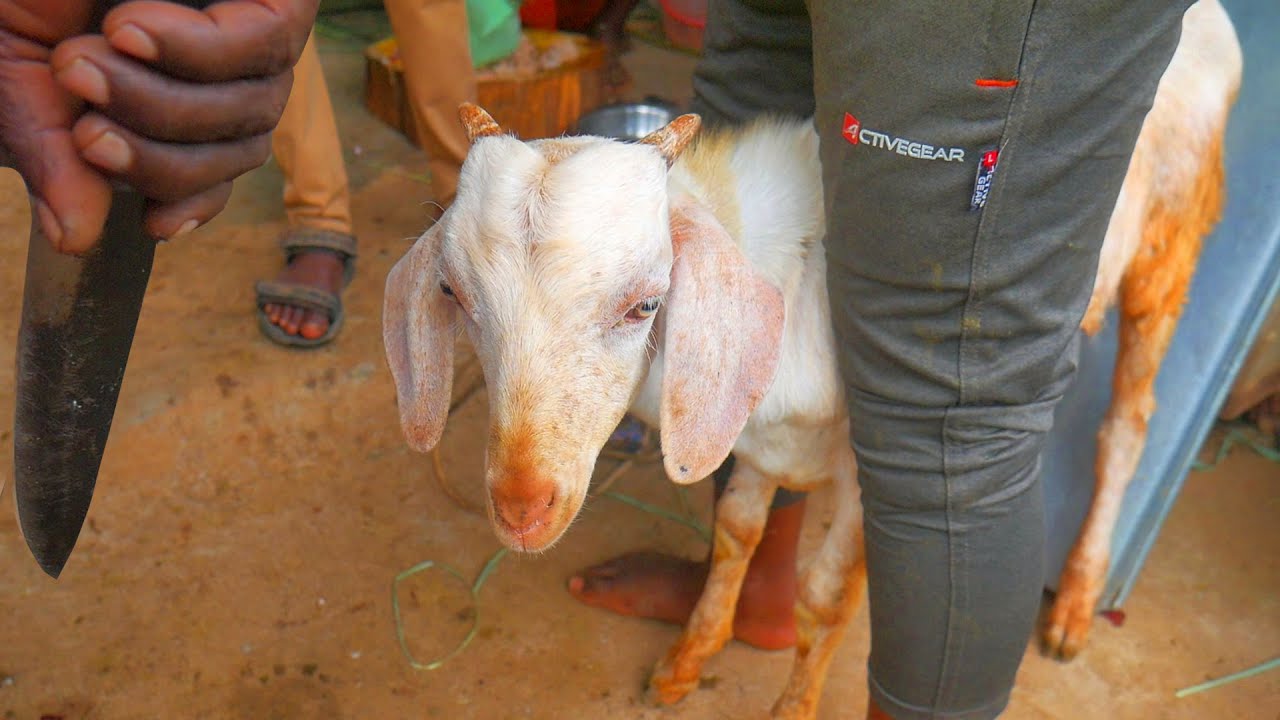360 Degrees of Live Goat Cutting Skills in Indian Meat Shop