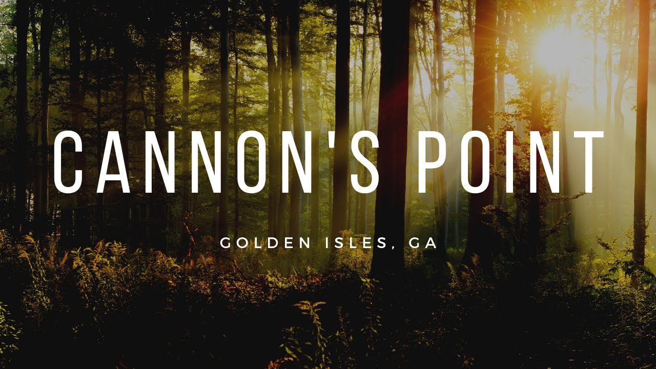 Golden Isles - Cannon's Point