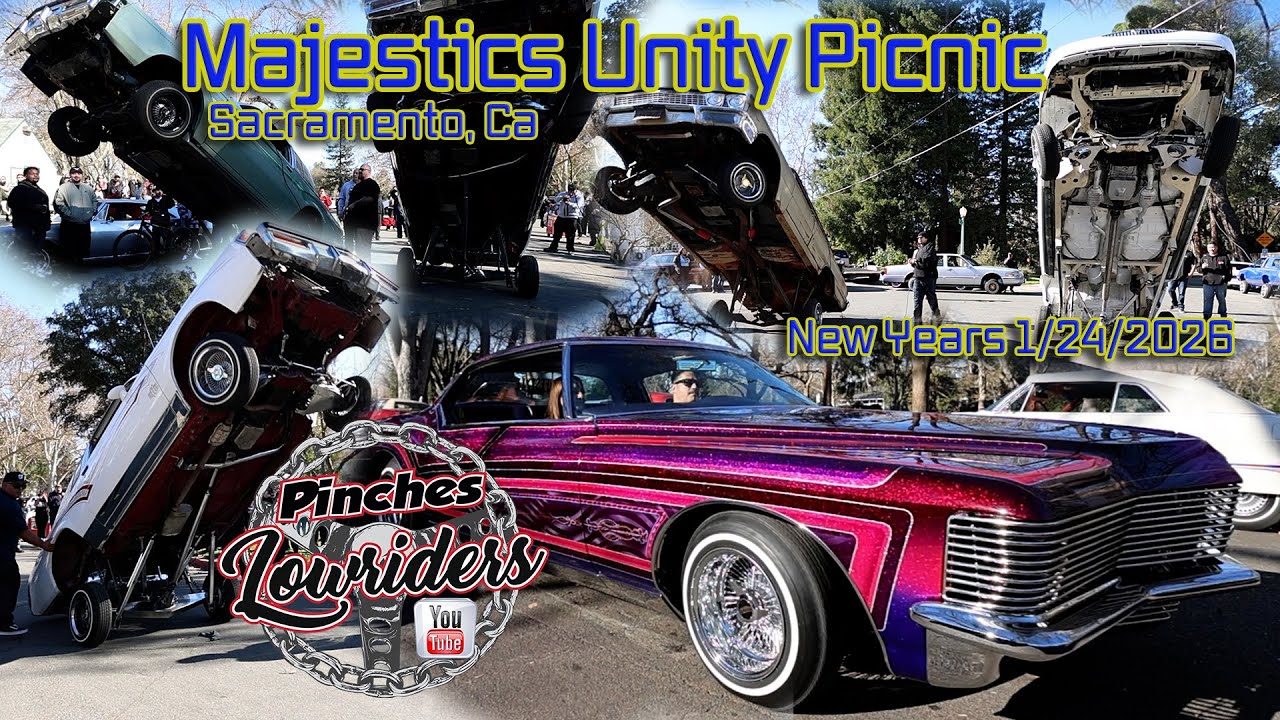 Majestics Unity Picnic 1/24/2026