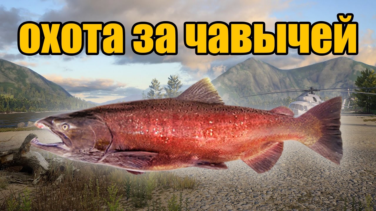 РР4 СТРИМ &bull; ЛОВИМ ЧАВЫЧУ НА ЯМЕ  &bull; РУССКАЯ РЫБАЛКА 4