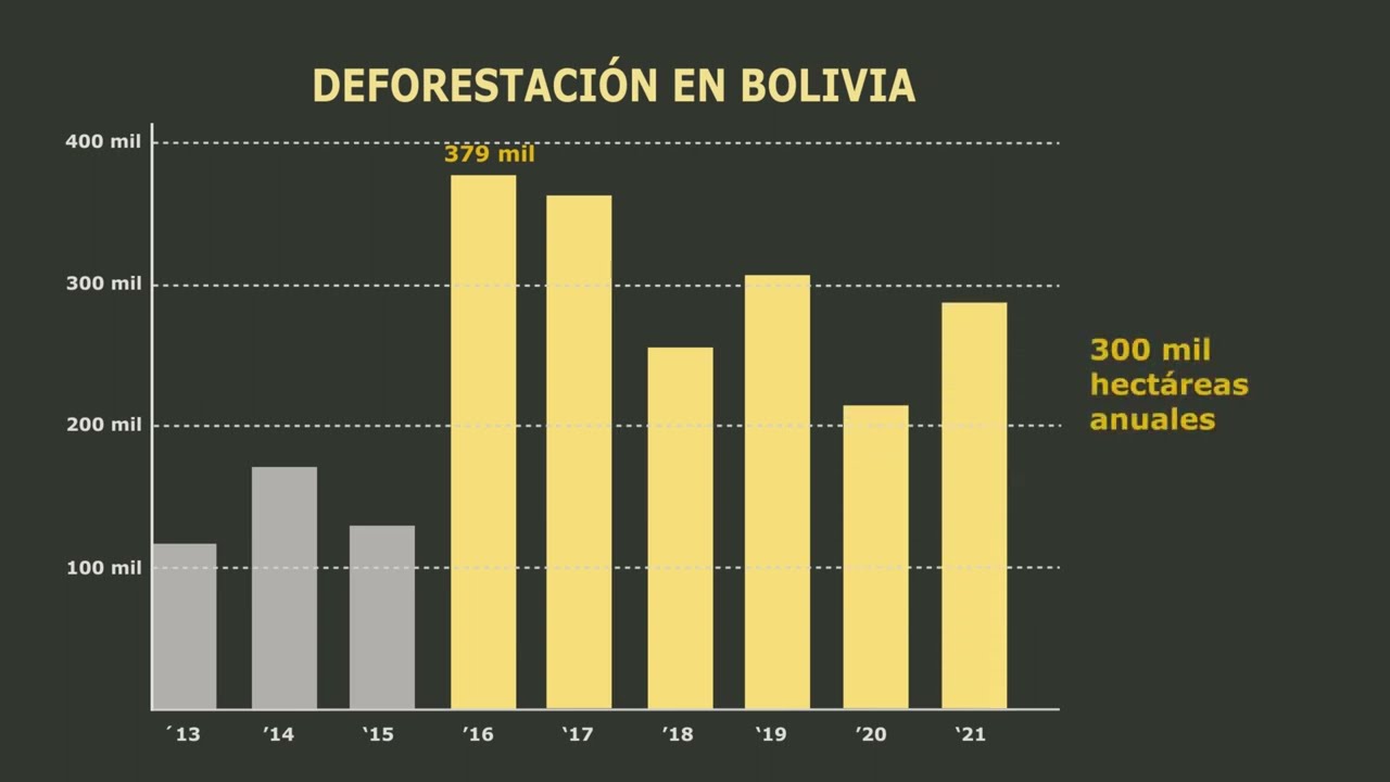 ¿POR QUÉ EMPEORÓ LA DEFORESTACIÓN EN BOLIVIA?