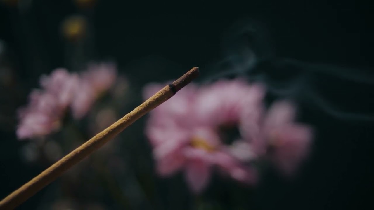 Calming Indian Music for Studying | Work | Meditation | Exam | Stress Relief
