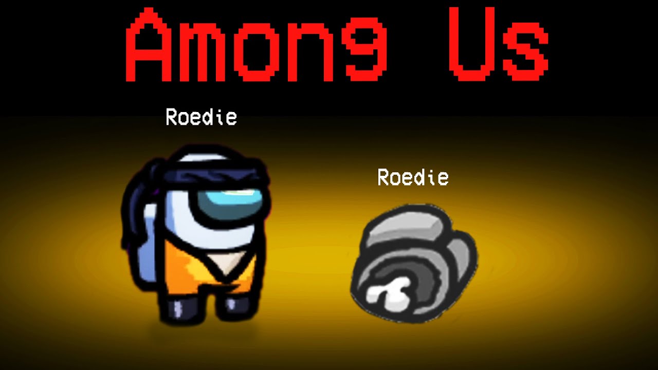 ROEDIE IS TERUG MET AMONG US (6 maanden na Ziekenhuis)