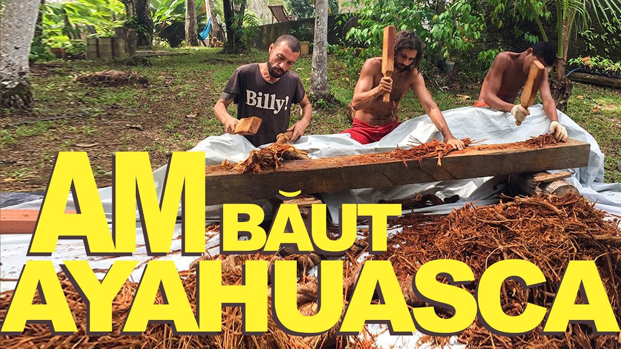 Totul despre Ayahuasca!