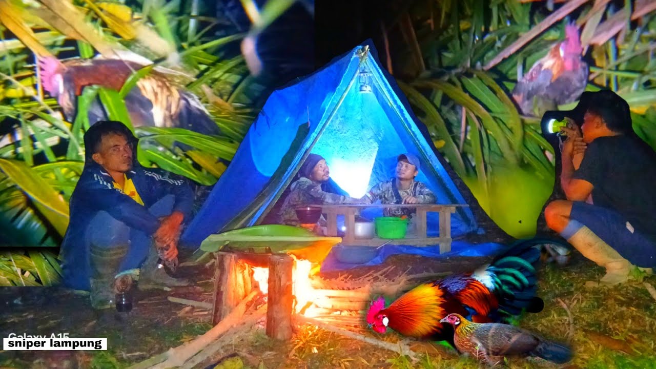 SURVIVAL MALAM HARI DI KEBUN SAWIT‼️BERBURU AYAM HUTAN ,BIKIN SHELTER DAN MASAK DI TEMPAT🤤