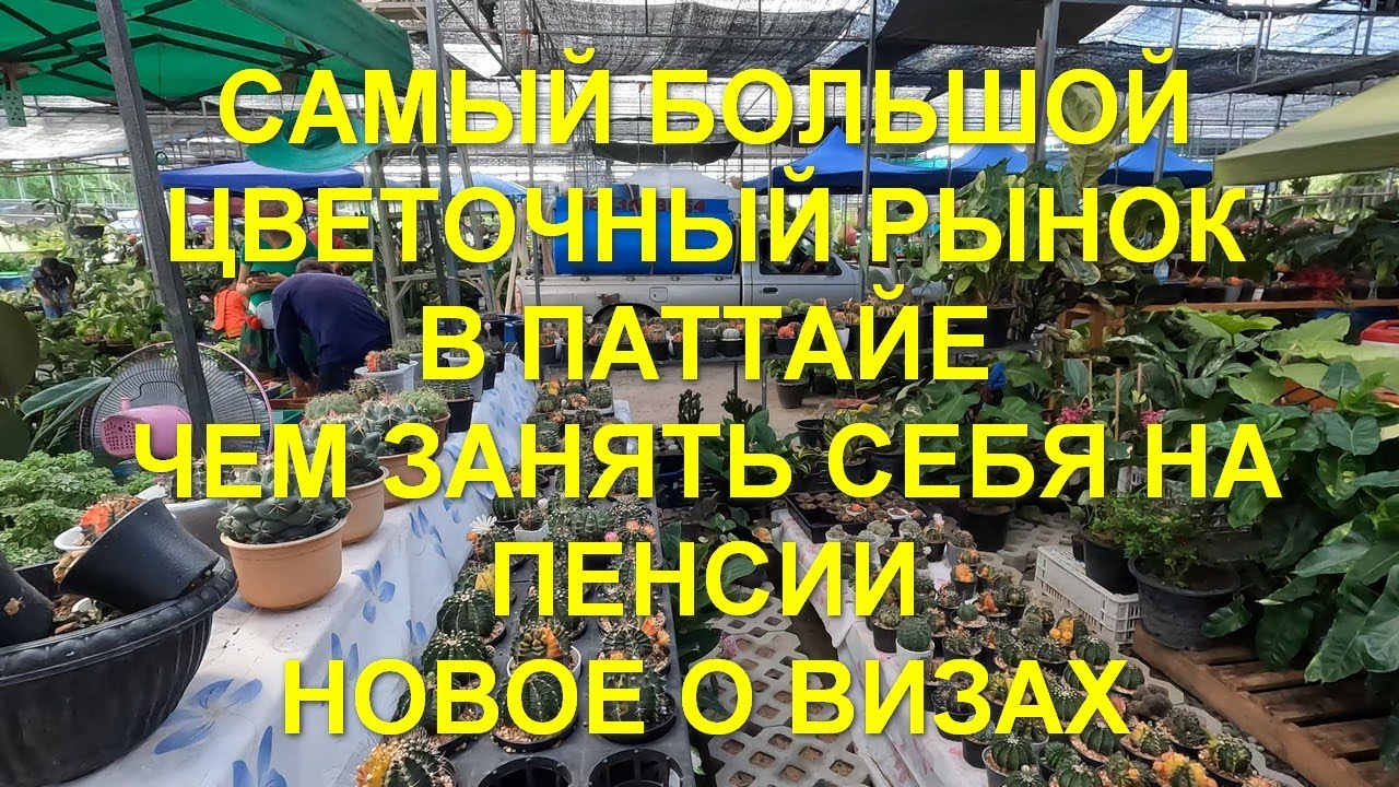 Самый большой цветочный рынок в Паттайе. Чем занять себя на пенсии. Новое о визах в Таиланде.