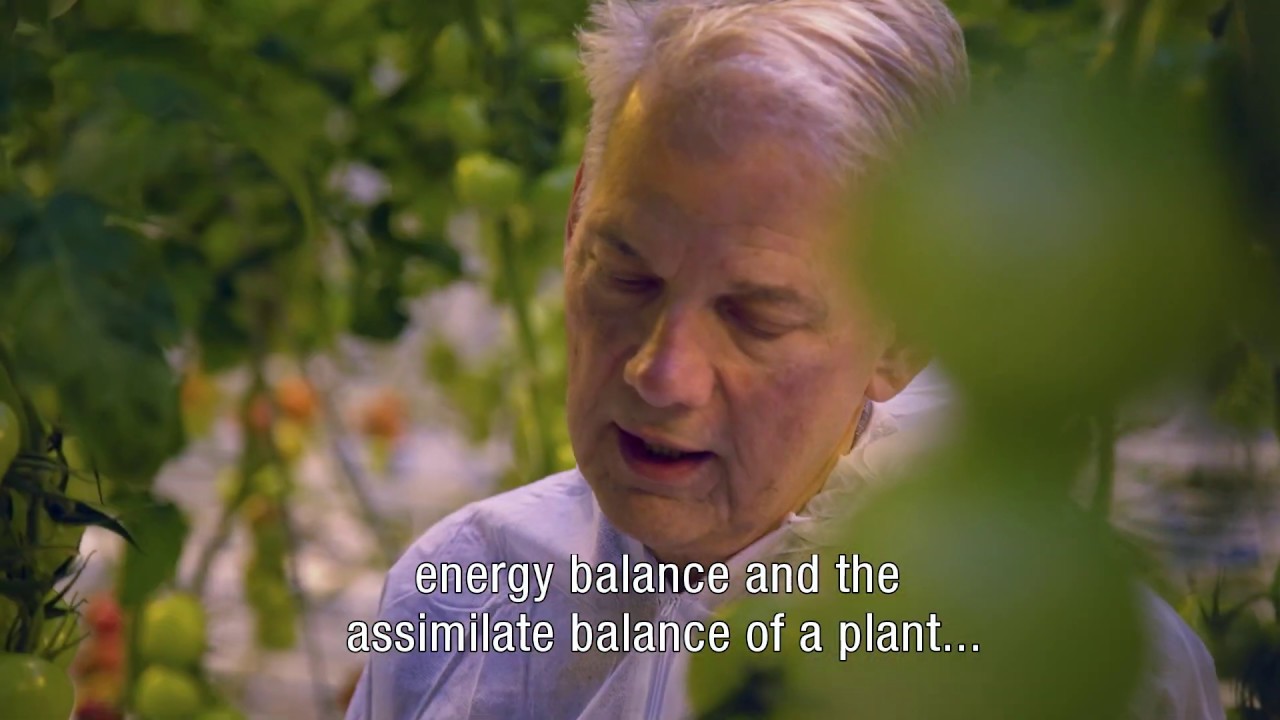 Plant Empowerment explained