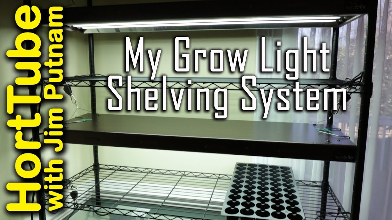 My Grow Light Shelving System For Indoor Seed Starting