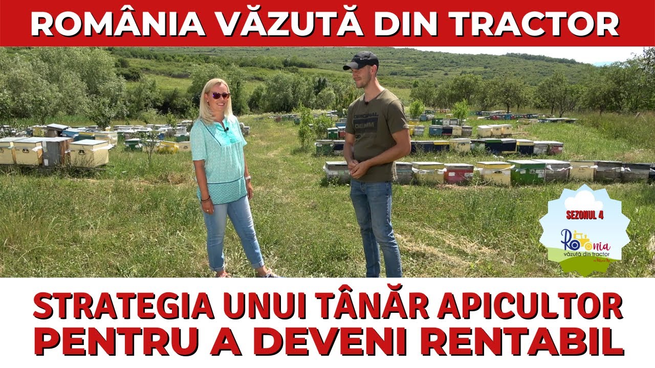 Strategia unui tânăr apicultor pentru a deveni rentabil / România Văzută Din Tractor
