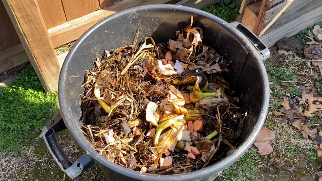 Composting as a beginner update | Open air to trash can method