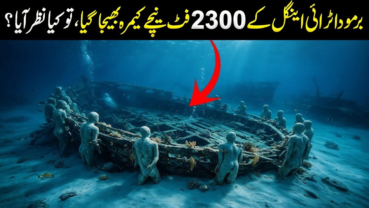 ​They Sent a Drone to the Bottom of Bermuda Triangle What Happened Next?