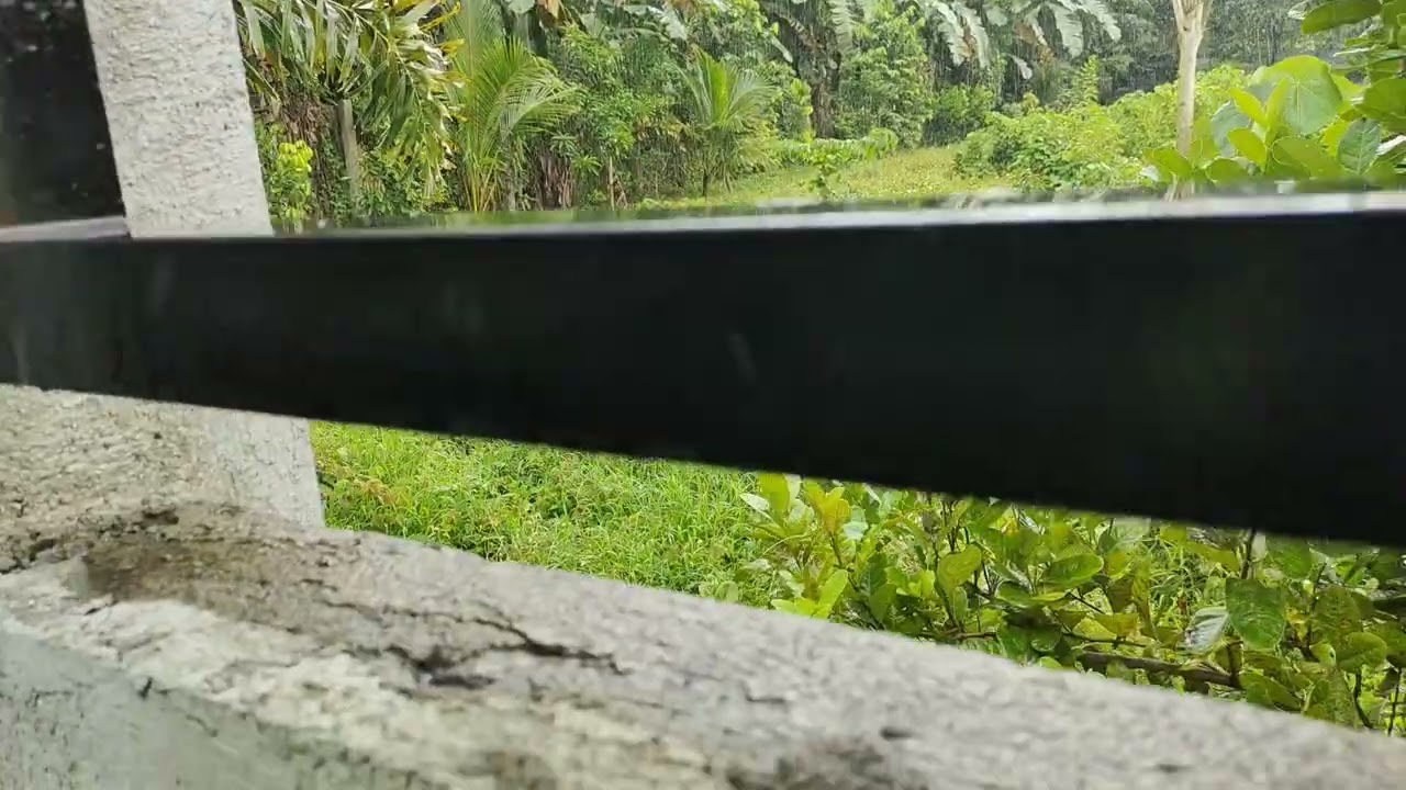 #12 Small Farm Lot On Sale😯 1,000sq.m | 1.5M Candelaria, Quezon