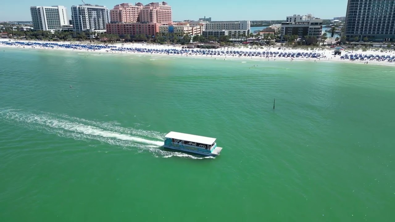 Fins Up Clearwater Dolphin Encounters Cruise